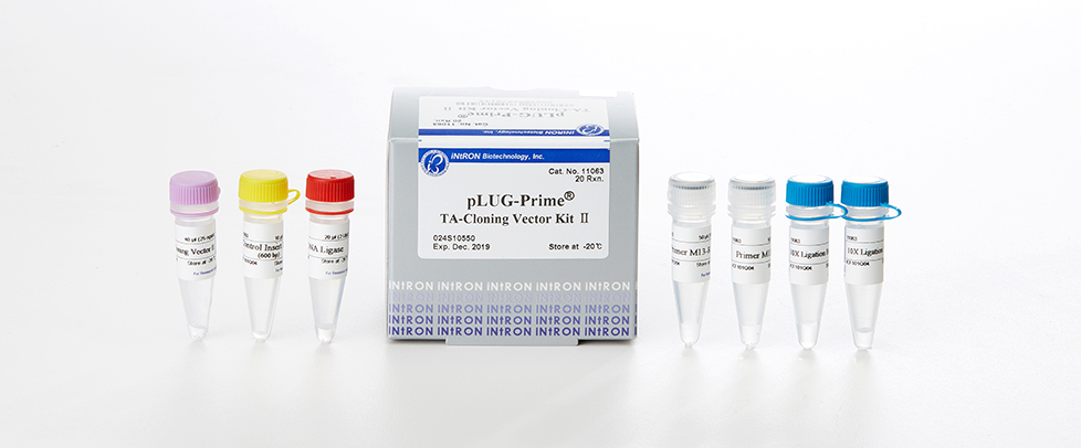 978x406 Intron Biotechnology Dr