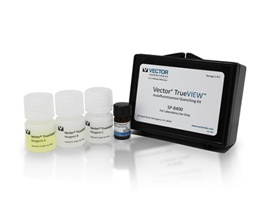 400x300 Autofluorescence Quenching Kits Sp Sp