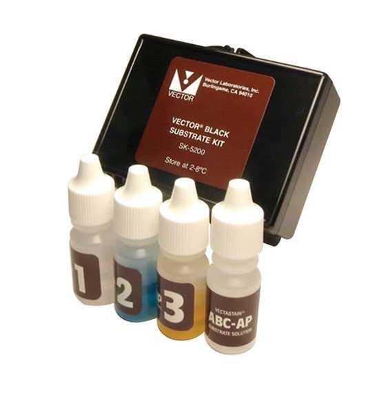 550x579 Vector Laboratories