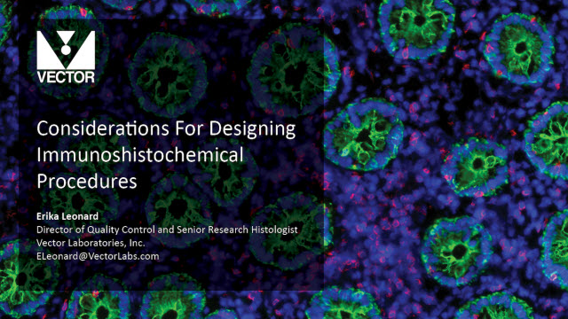 640x360 Vector Laboratories Announces Ihc Video Training Series Lab Manager