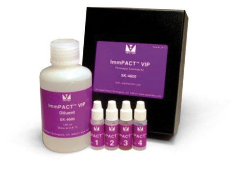 500x356 About Us Vector Labs