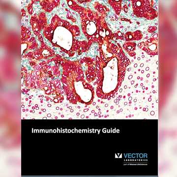360x360 Vector Laboratories Publishes New Immunohistochemistry Guide