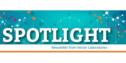 440x220 Vector Laboratories On Twitter Sign Up For Our Monthly Spotlight