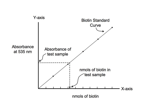 500x365 Quanttag Biotin Quantitation Kit From Vector Laboratories Inc