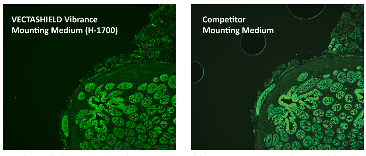 1195x510 Mounting Media
