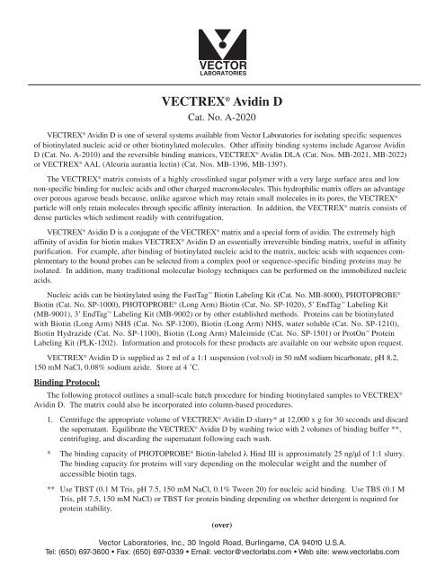 495x640 Vectrex Avidin D