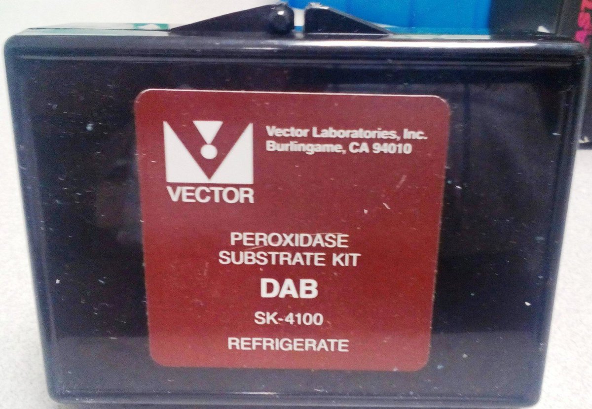 1200x830 Vector Laboratories On Twitter Thank You Murli M