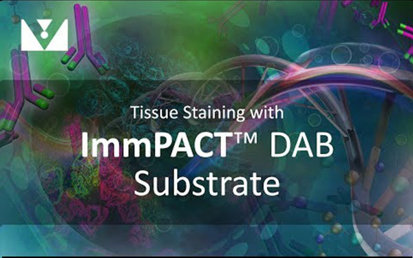 600x375 Video Tutorials Resources Vector Labs