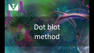 320x180 Dot Blot Method