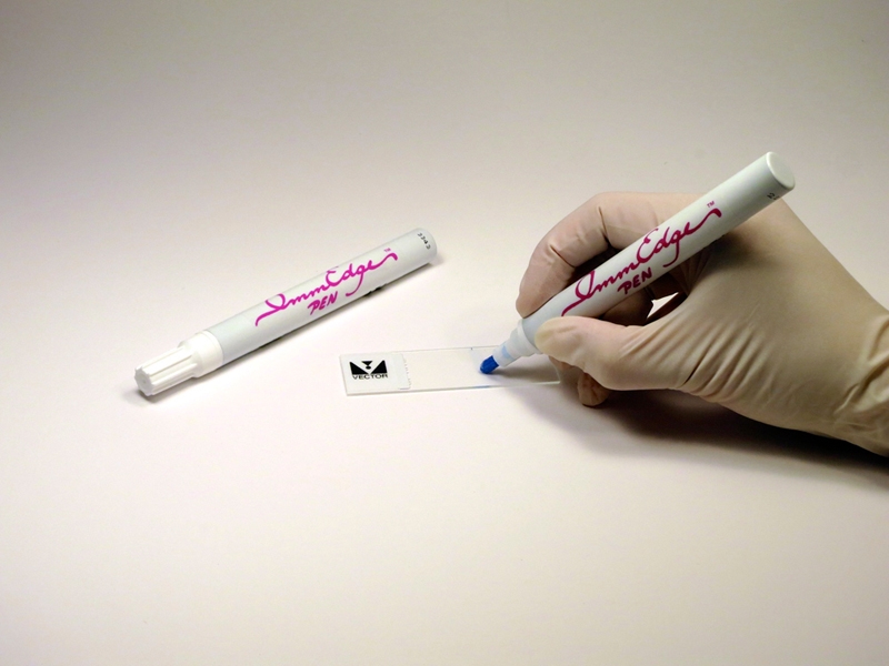 800x600 Immedge Hydrophobic Barrier Pen From Vector Laboratories Inc