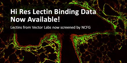 440x220 Vector Laboratories On Twitter Lectins From Vector Labs Now