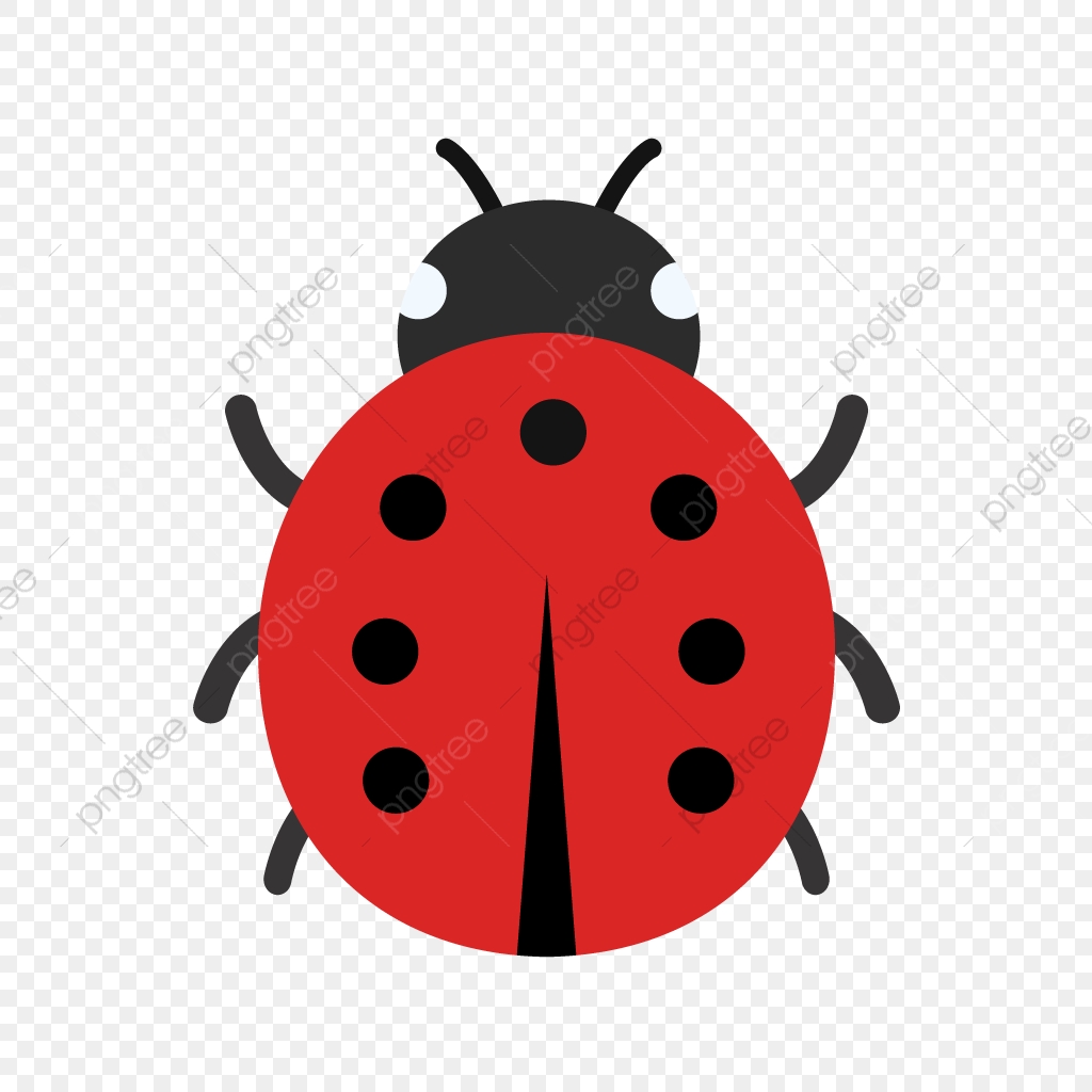1024x1024 Vector Lady Bug Icon, Lady Bug, Ladybug, Insect Png And Vector