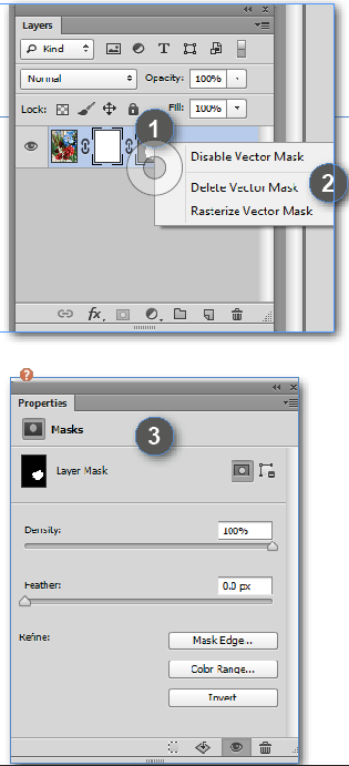 315x691 What Are Adobe Photoshop Layer And Vector Masks