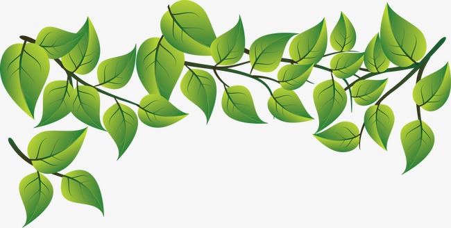 650x328 Fashion Fresh Green Leaves Vector, Leaf