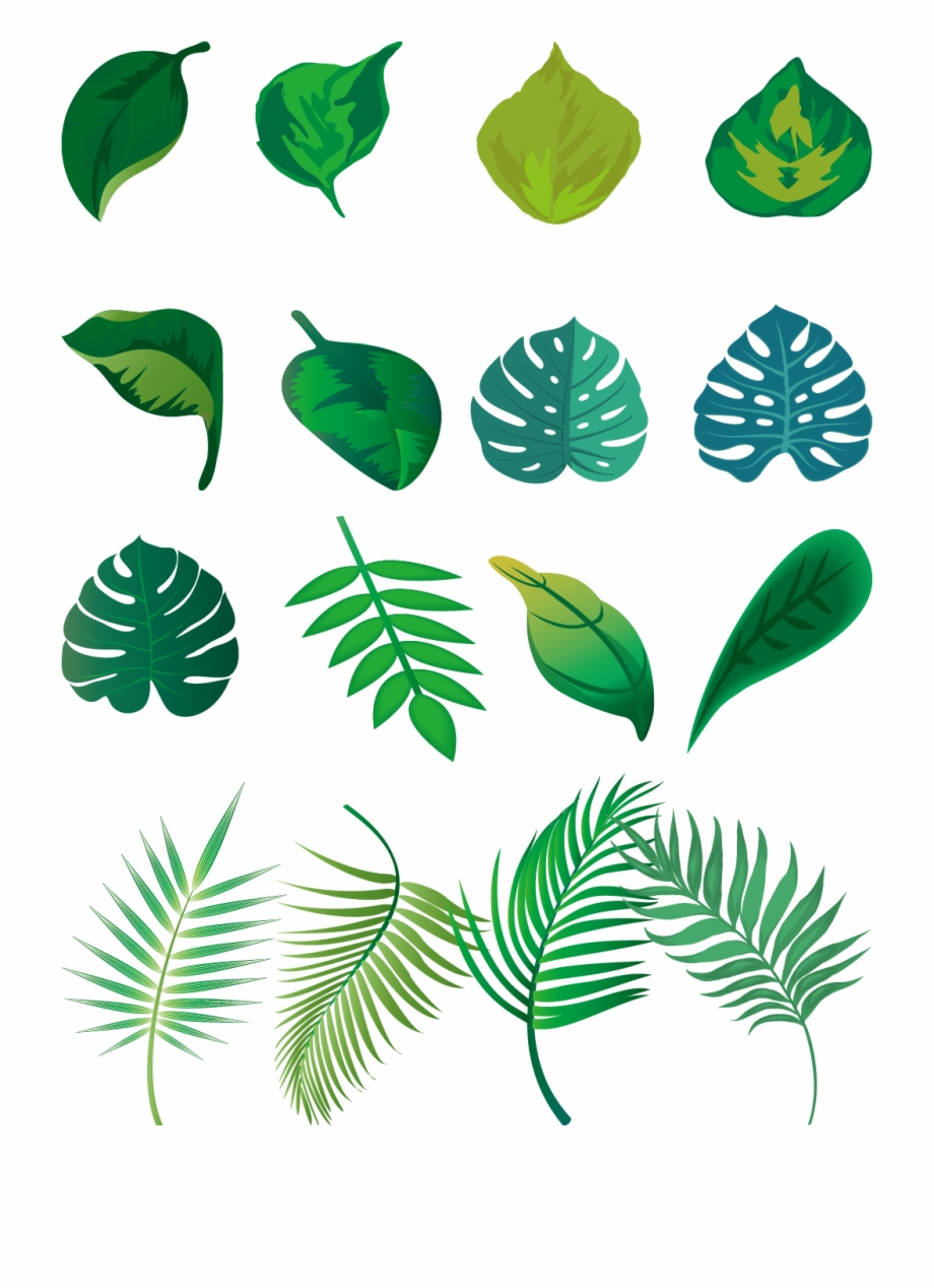 920x1268 Hand Painted Fresh Green Leaves Png And Vector Image
