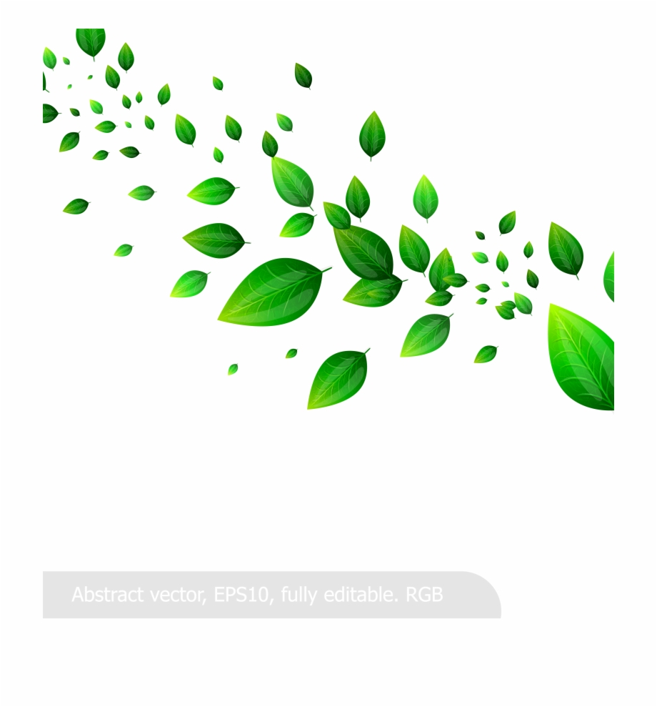 920x989 Leaf Leaves Material When Vector Green Fresh Clipart