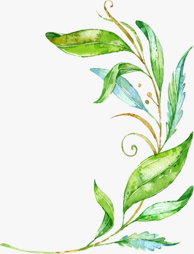 650x851 Millions Of Png Images, Backgrounds And Vectors For Free Download