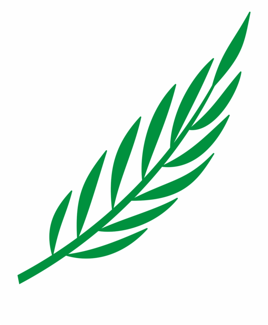 920x1116 Branch Laurel Leaf Leafy Leaves Png Image