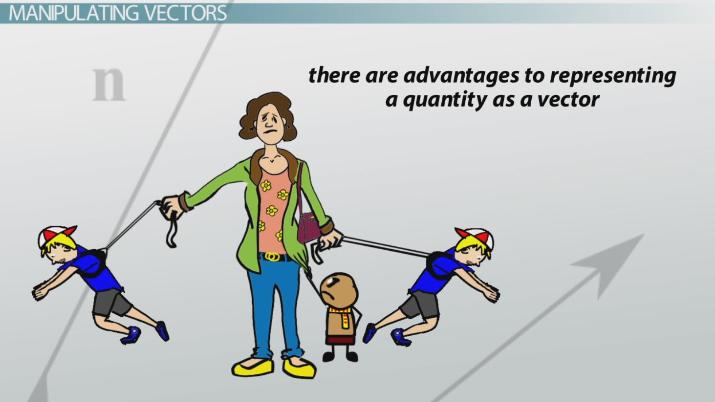 715x402 What Is A Vector