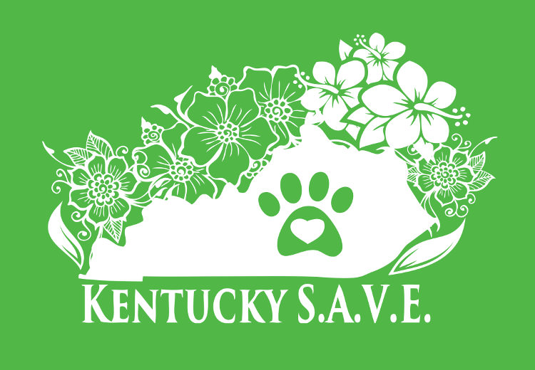 750x520 Vector Illustration