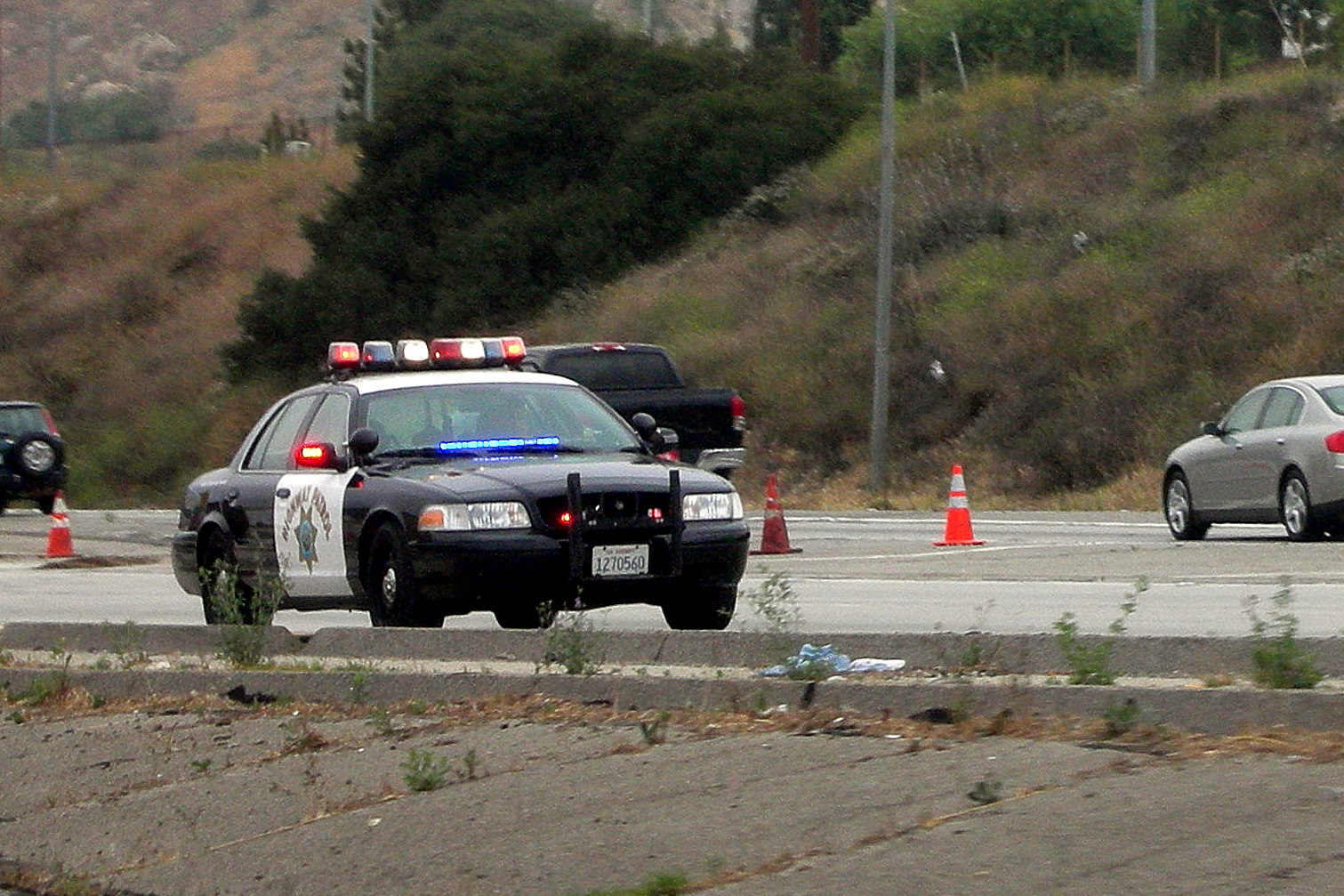 Chp Getting Rid Of The Old Cherries Berries 1511x1007 Chp Getting Rid Of The Old Cherries Berries