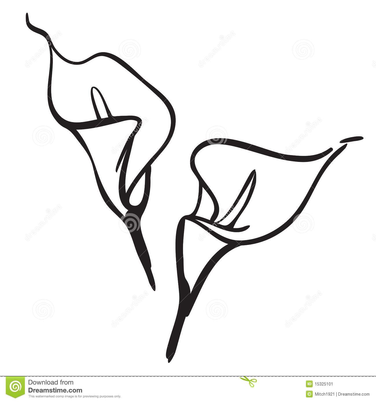 1300x1390 Calla Lily Vector Images