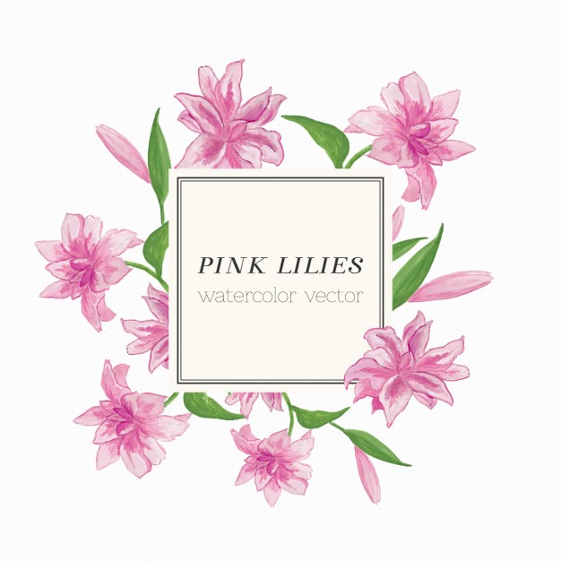 626x626 Lilly Vectors, Photos And Free Download