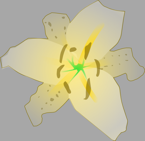 600x583 Lilly Clip Art