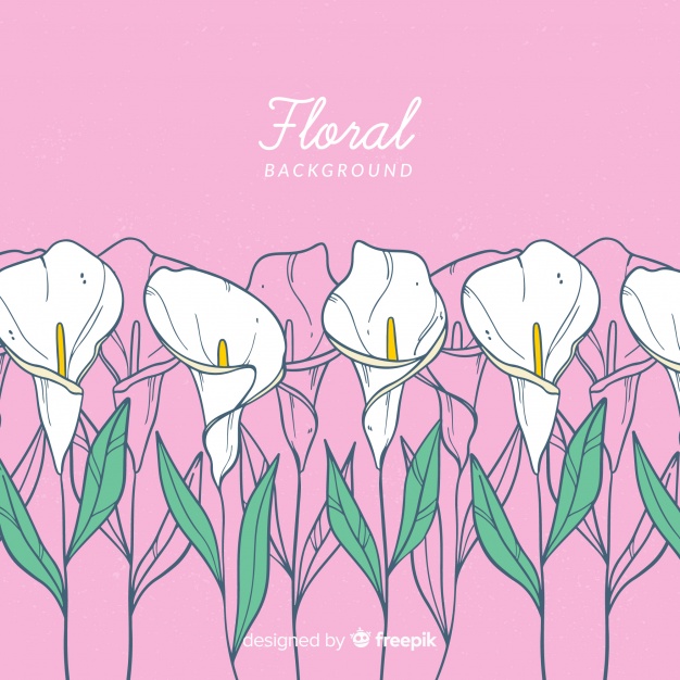 626x626 Lilly Hand Drawn Floral Background Vector Free Download