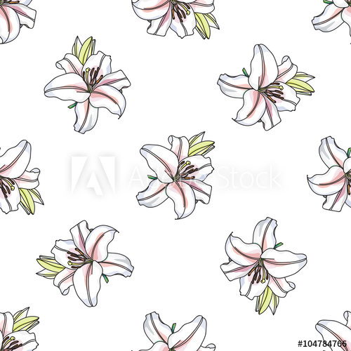 500x500 Vector Lilly Pattern