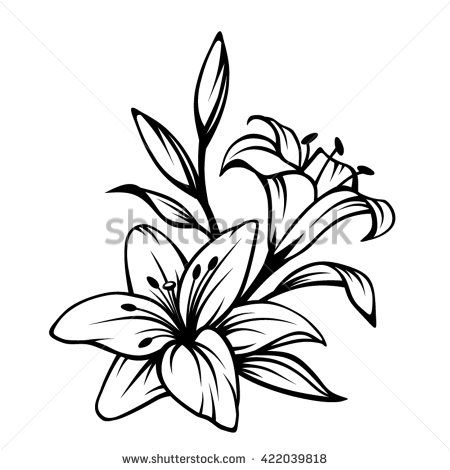 450x470 Day Lily Clip Art Lily Flower Stock Images, Royalty Free Images