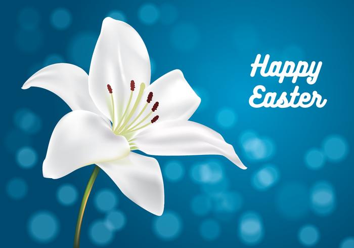 700x490 Easter Lilly Vector Stock Images