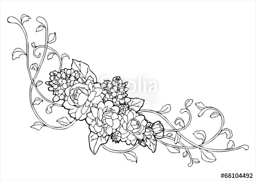 500x353 Jasmine Flower And Vine Line Drawing Vector Stock Image