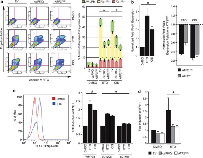 685x533 Transcriptional Repression