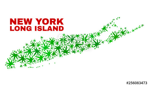 500x291 Vector Marijuana Long Island Map Collage Concept With Green Weed