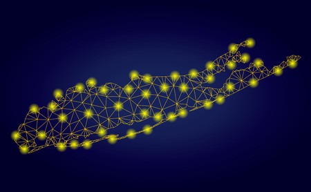 450x278 Yellow Mesh Vector Long Island Map With Glow Effect On A Dark Blue