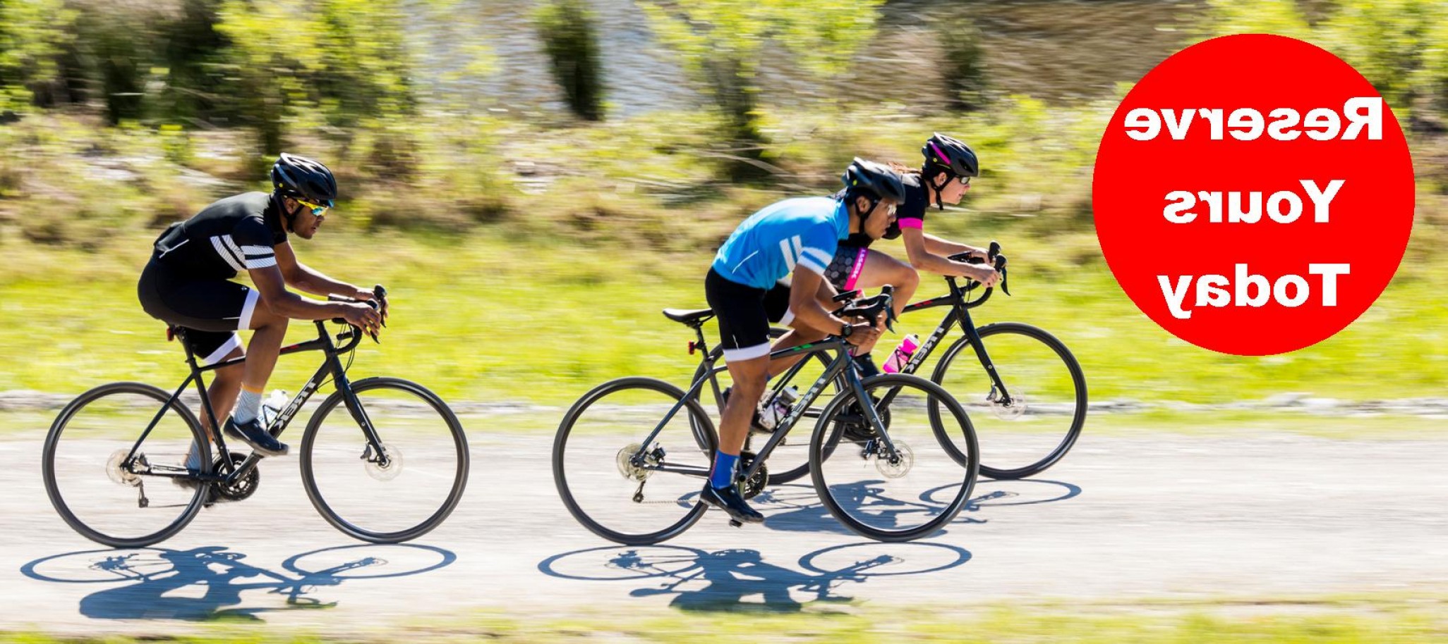 2052x914 Schellers Fitness Vector Logo Createmepink