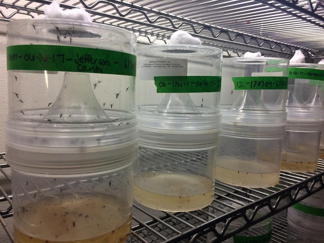 1080x810 Lubbock Vector Control Crews Work To Eliminate Threat Of Zika