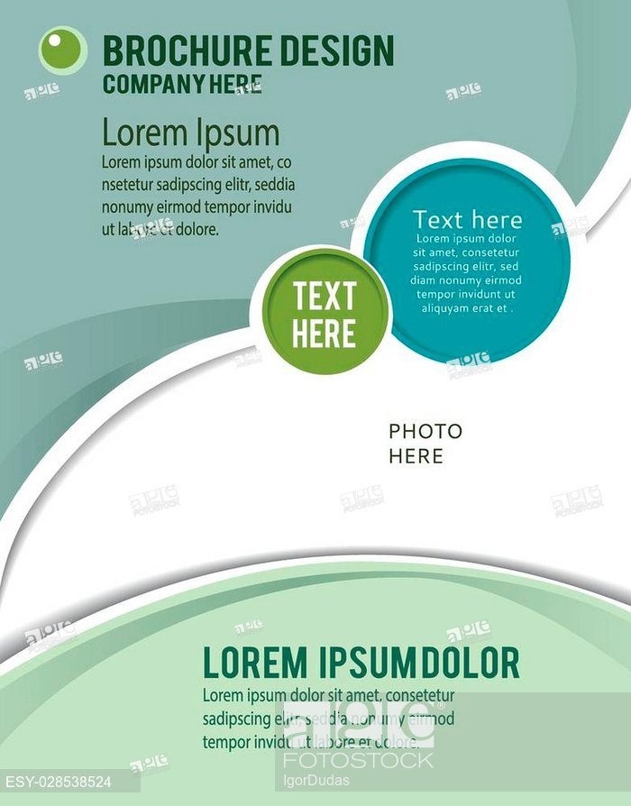 700x894 Magazine Or Brochure, Vector Design Smooth Wave Curve Lines