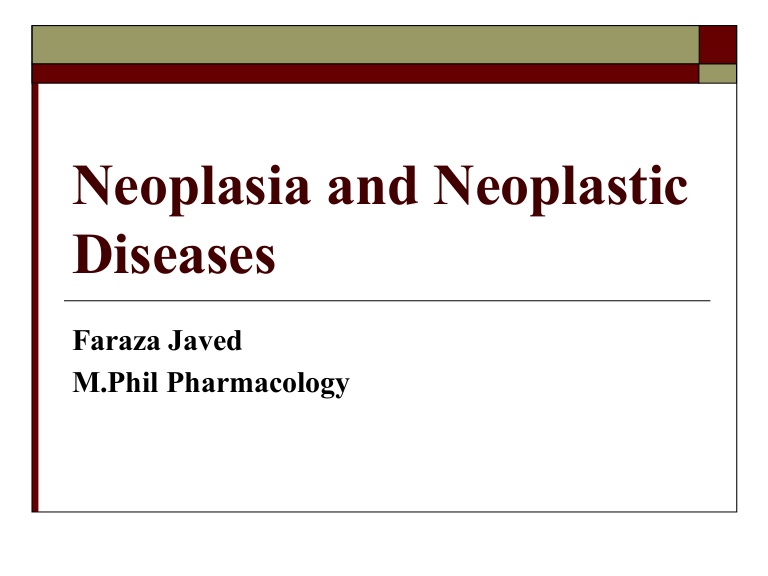 768x576 Download Free Activate Vector Magic