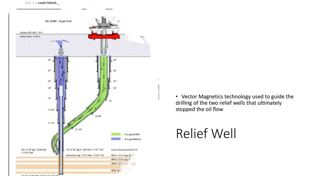 1024x576 Ithaca Section Report Executive Committee Members