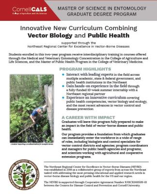 324x400 Ms In Entomology