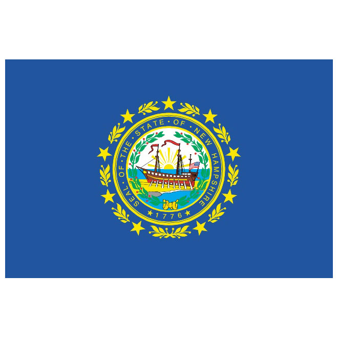 660x660 New Hampshire Vector Flag