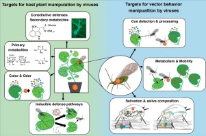 301x198 Progress And Challenges In Identifying Molecular Mechanisms