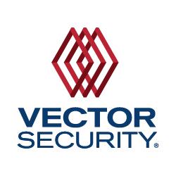 250x250 Vector Security