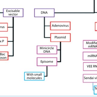320x320 Overview Of A Typical Viral Vector Manufacturing Process