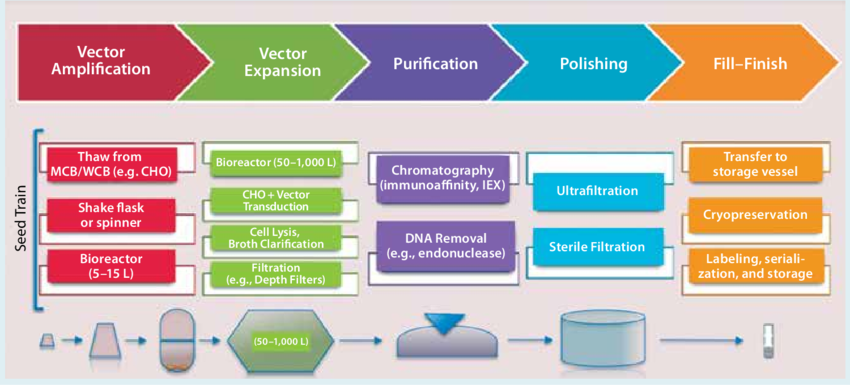 850x385 Overview Of A Typical Viral Vector Manufacturing Process