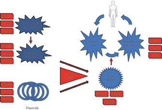 335x228 Vector Manufacturing And Testing For Gene And Cell Therapy