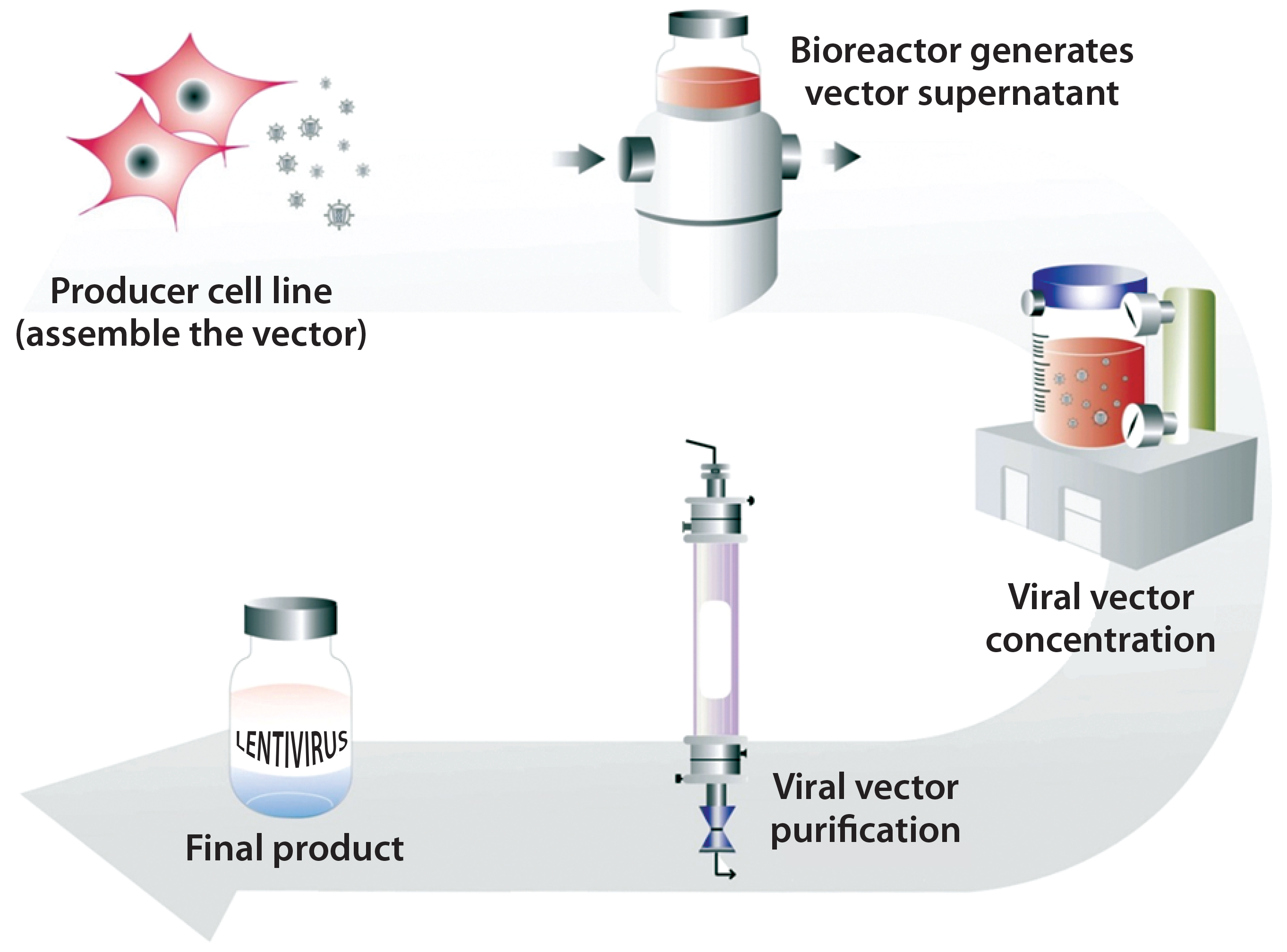 2725x2016 Cell Delivered Gene Therapy This Viral Vector Manufacturing