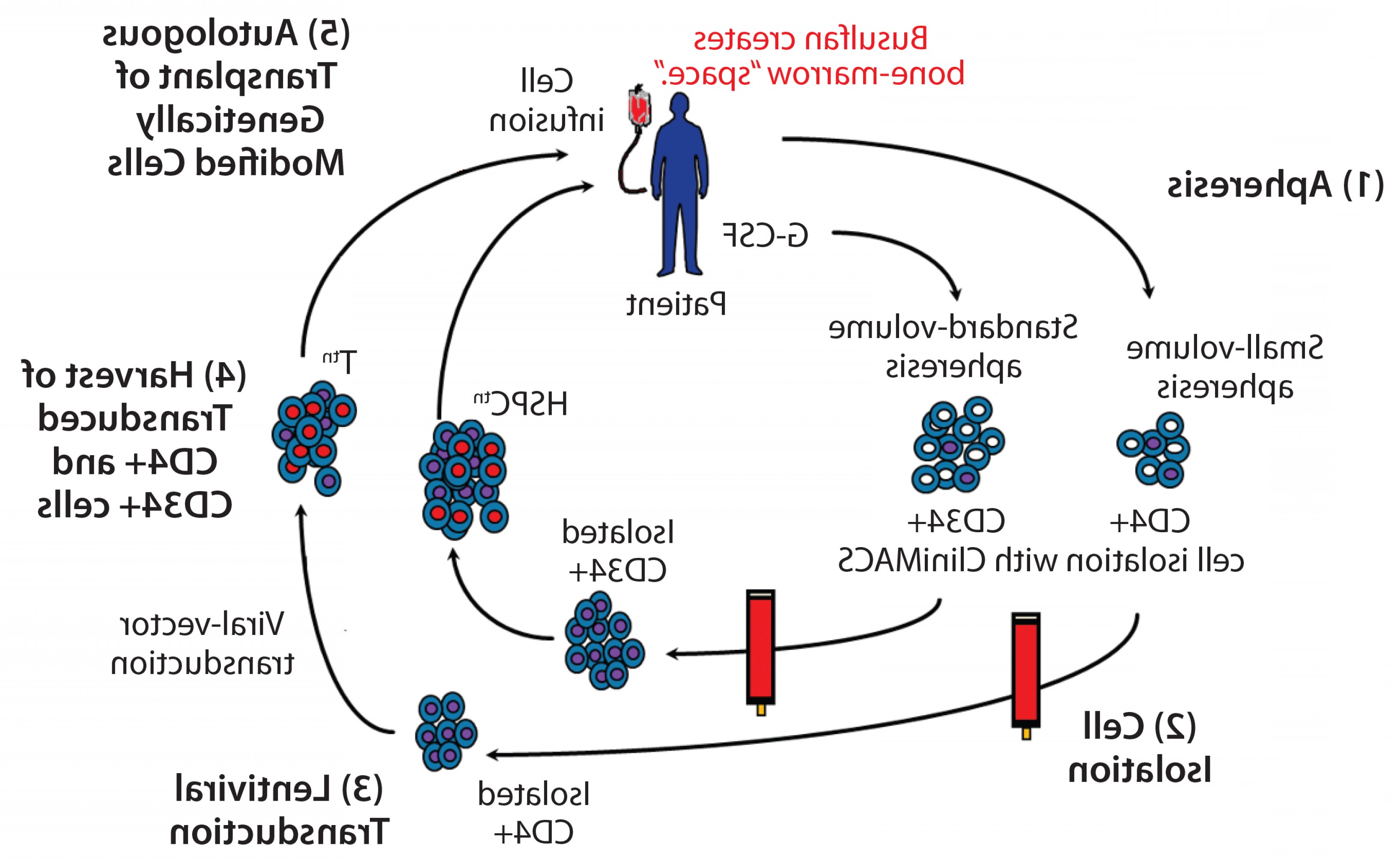 3270x2011 Cell Delivered Gene Therapy Viral Vector Manufacturing Method